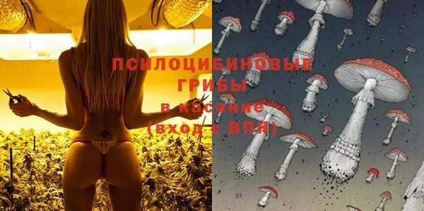 спиды Абинск